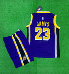 James Lakers 23  purple/Yellow Basketball Jersey with Shorts[Print]