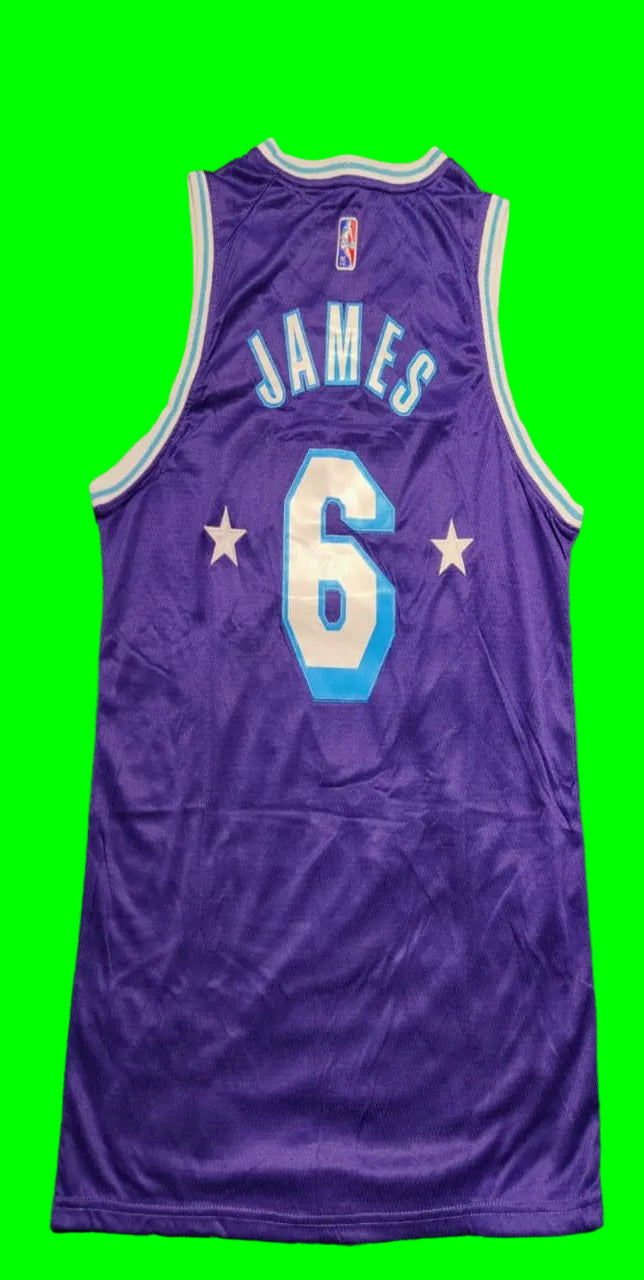 James 6 Lakers purple/White Basketball Jersey [Stitch]
