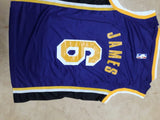 James 6 Lakers Blue/Yellow Basketball Jersey Only [Print]