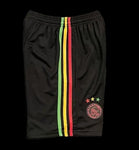 Ajax 3rd Shorts 2021/22